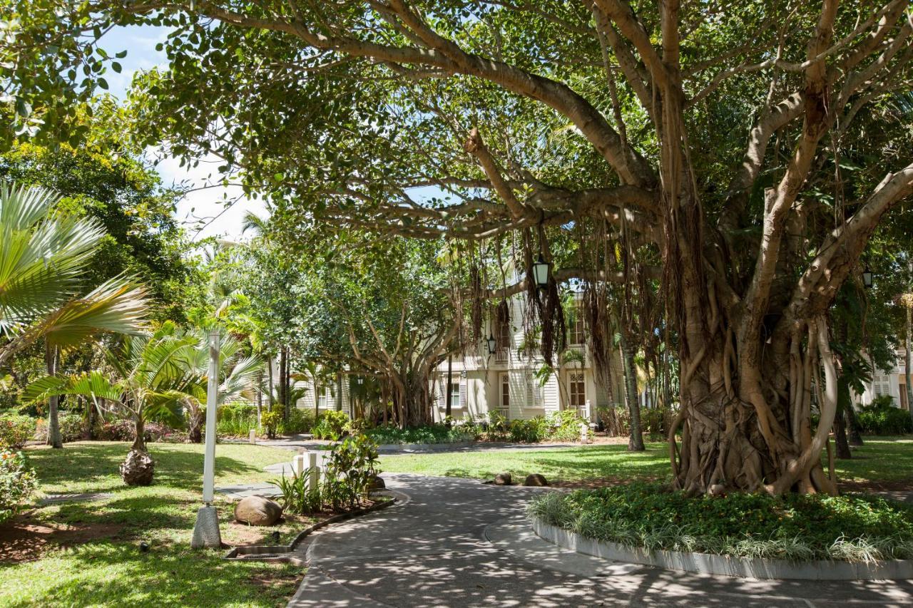 Heritage Le Telfair Golf & Wellness Resort Bel Ombre Kültér fotó The Banyan Tree at the University of the South Pacific